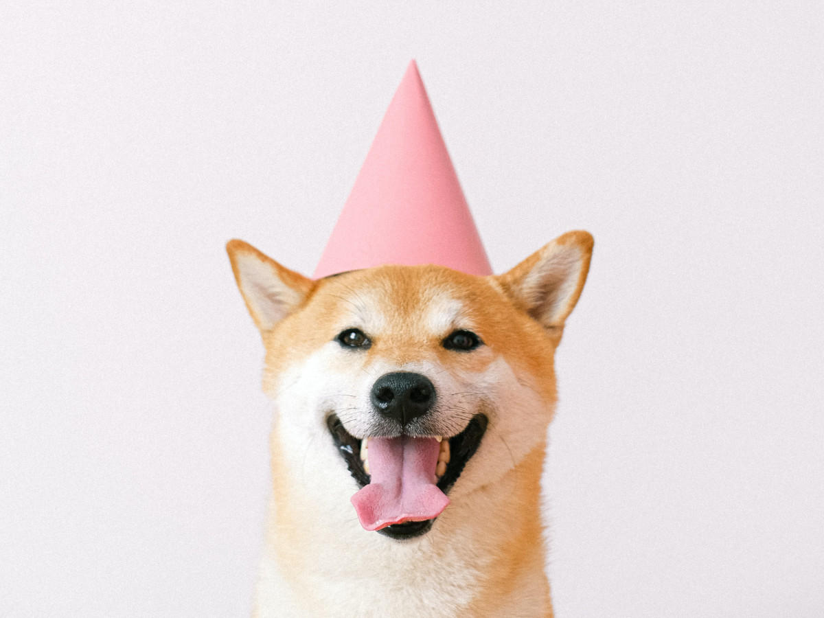 Специальное предложение в день рождения!